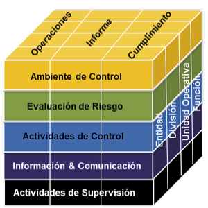 Que es el informe coso