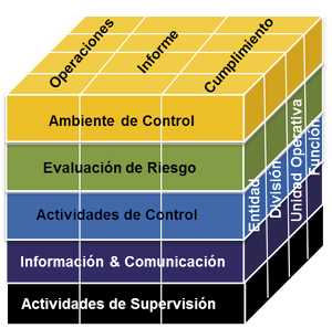 Que es el informe coso